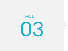 MELIT 03